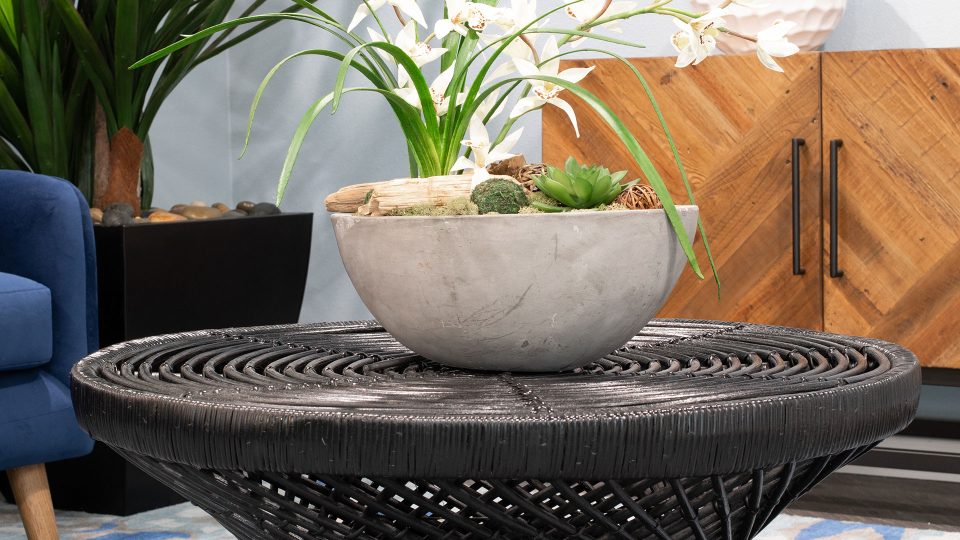 a black coffee table with a bowl of plants on it at The WESTON